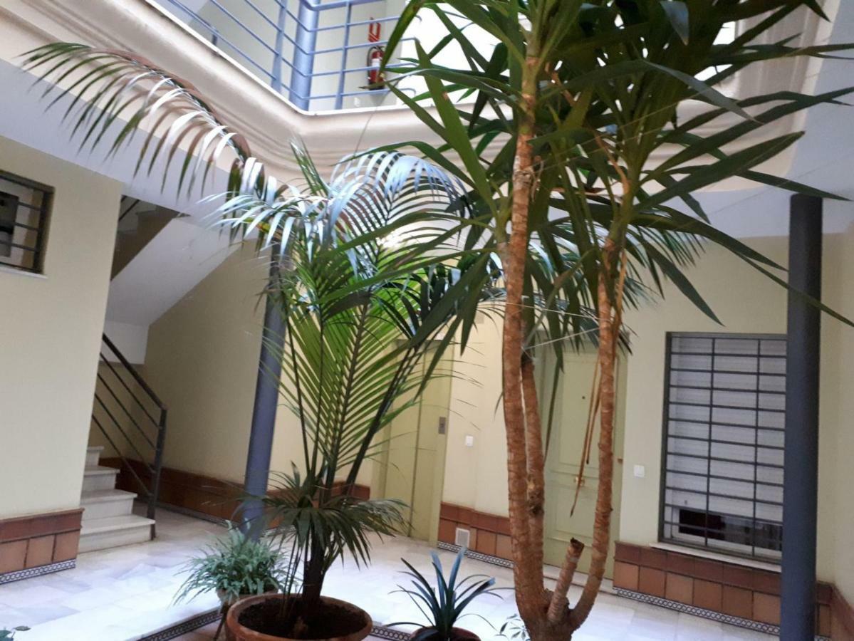 Calle Armas,9 Apartment Jerez de la Frontera Bagian luar foto